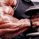 Brachialis (shoulder muscle) learn how to pump it up and increase the volume of your biceps.